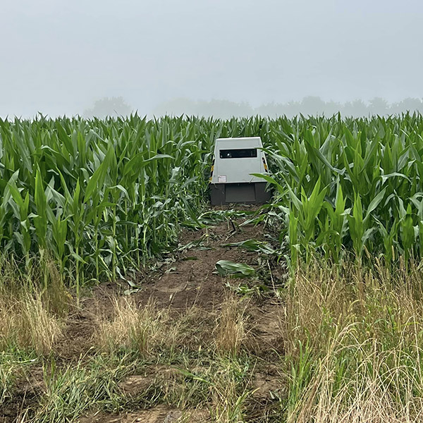 radar autonome dpouss dans un champ de mas